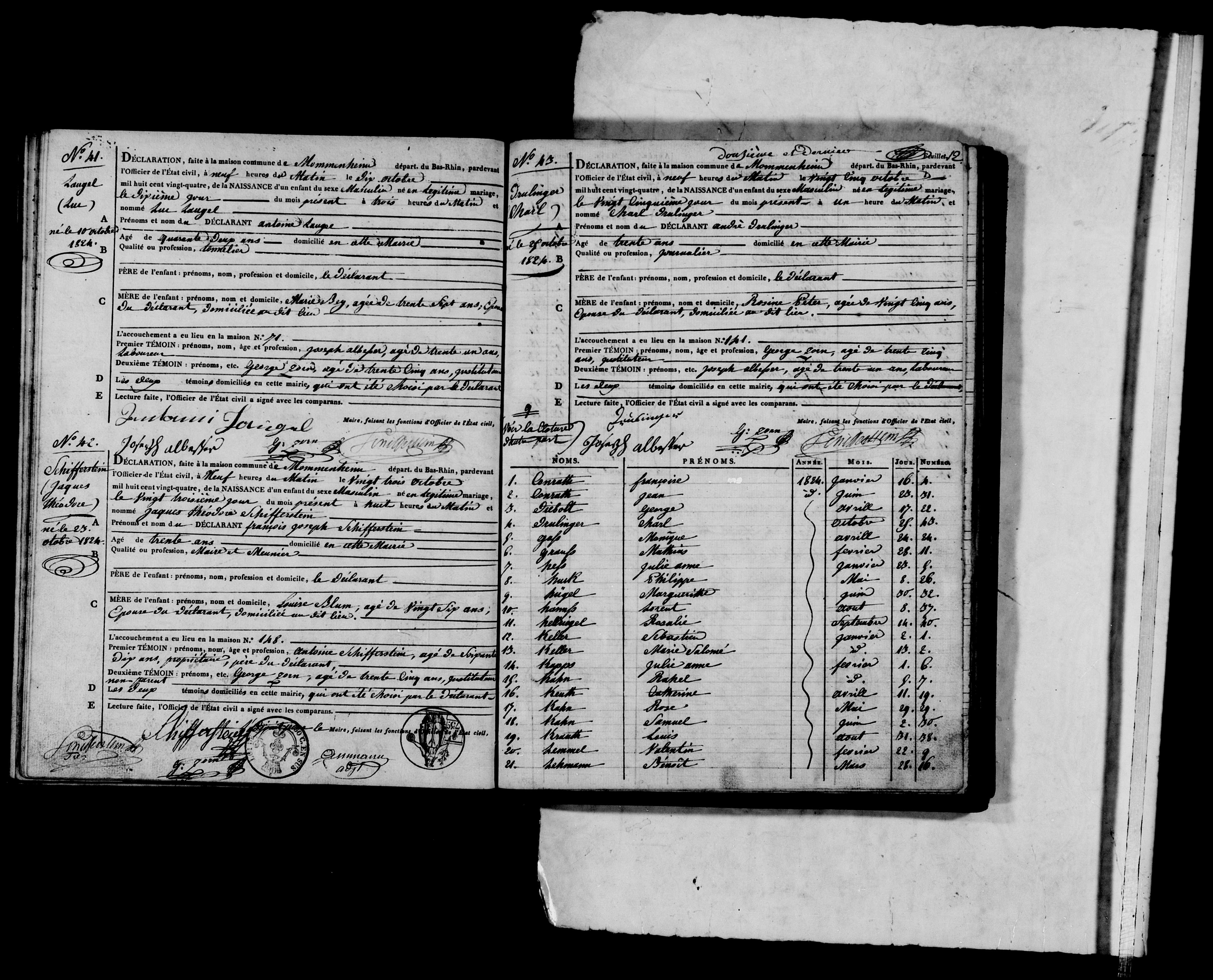 Birth Record