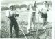 (L-R) Opa Theodor Drollinger, Gordon L. Drollinger and Theodor Drollinger potato dig Ellmendingen 1982