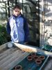 Adrienne Drollinger checks on Phragmites germination in the greenhouse